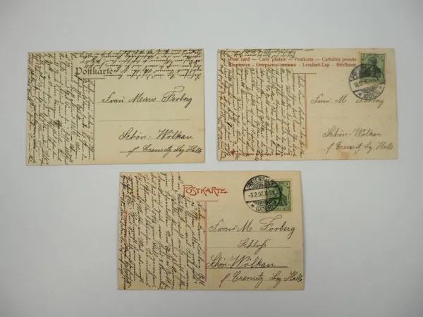 3 Ak Freienwalde a. Oder Papenmühle Total Wilhelmstrasse 1906 1907 Brandenburg
