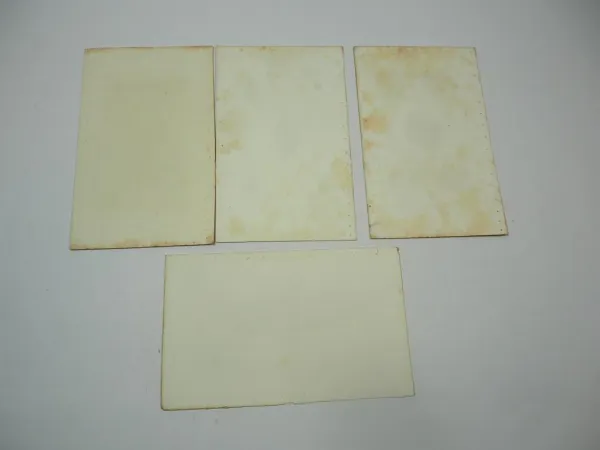 4x Lithographie Revue et Mag. de Zoologie 1858 Fisch Schnecke Bocourt Buquet