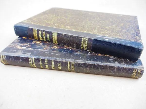 Betrachtungen über das Ordensleben von Fr. Philipp in 2 Bänden 1891/1892