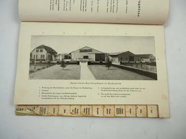 Christian Fey Meckenheim Das Baumschulbuch 1942 Katalog