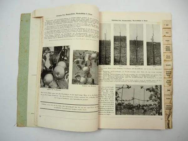 Christian Fey Meckenheim Das Baumschulbuch 1942 Katalog