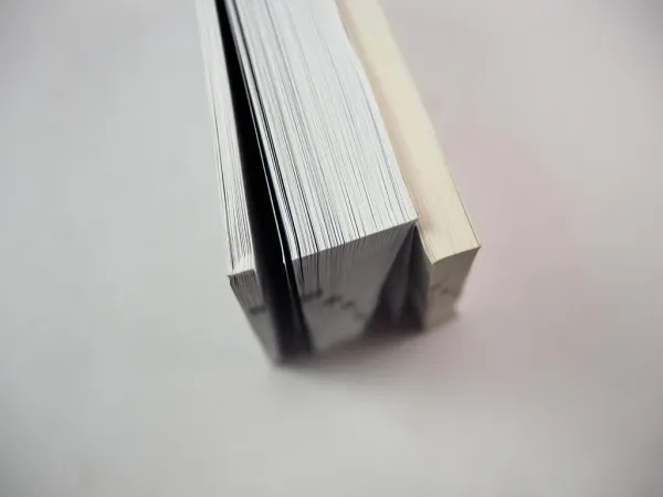 Dacia Sandero Stepway Logan Jogger Bedienungsanleitung Betriebsanleitung 2021