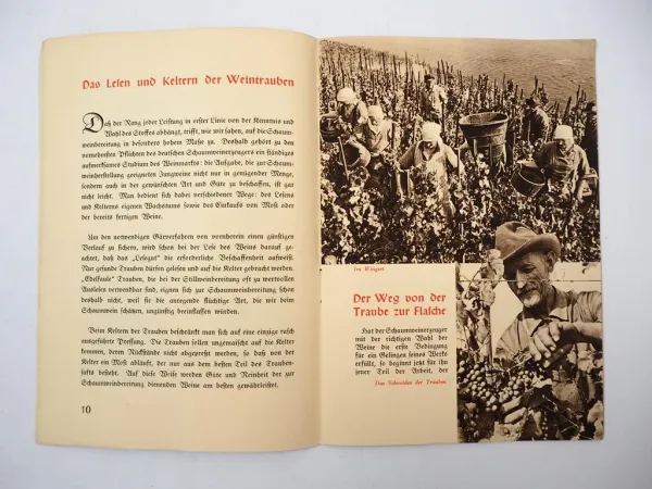Das Buch vom Schaumwein Werbeheft Hanns W. Brose Wiesbaden 1930er Jahre