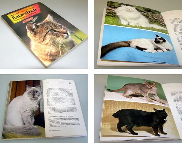 Das neue Katzenbuch - Rassen Aufzucht Pflege, 1993