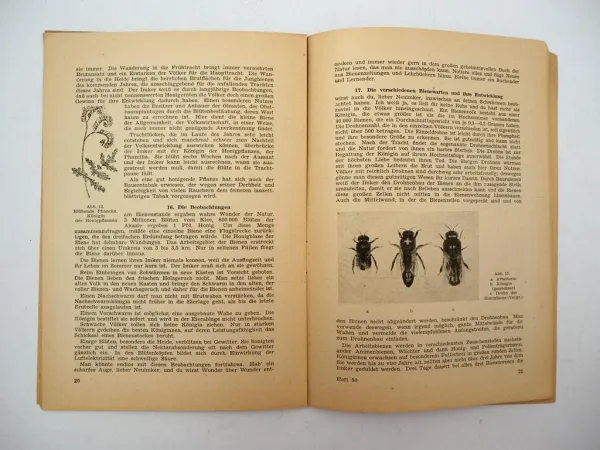Der Bauernfreund Heft 50 Die Beinenzucht von K. Pinkpank 1947