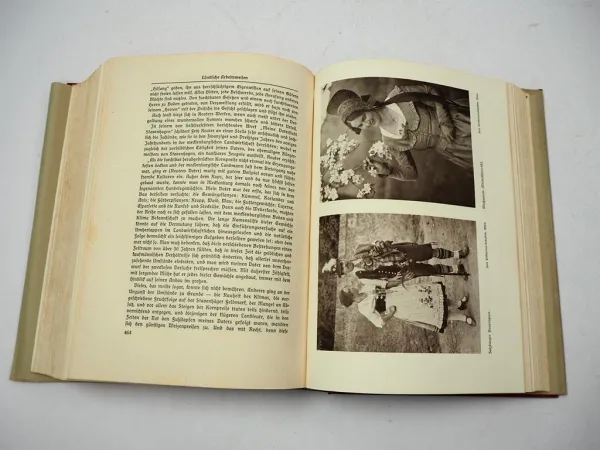 Deutsches Bauerntum Sein Werden Niedergang und Aufstieg 1935 Karl Scheda