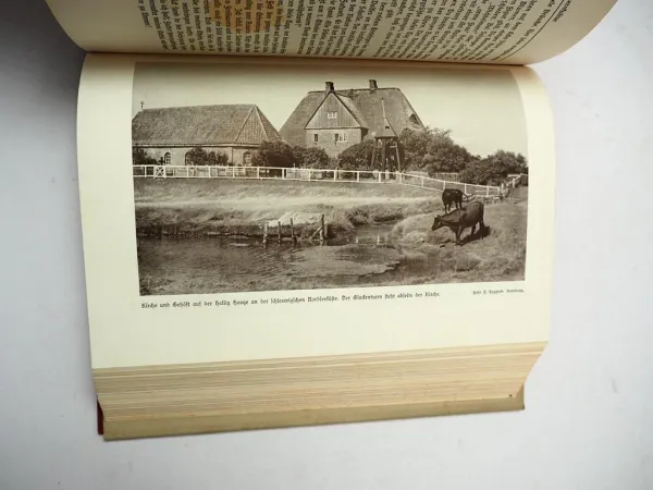 Deutsches Bauerntum Sein Werden Niedergang und Aufstieg 1935 Karl Scheda