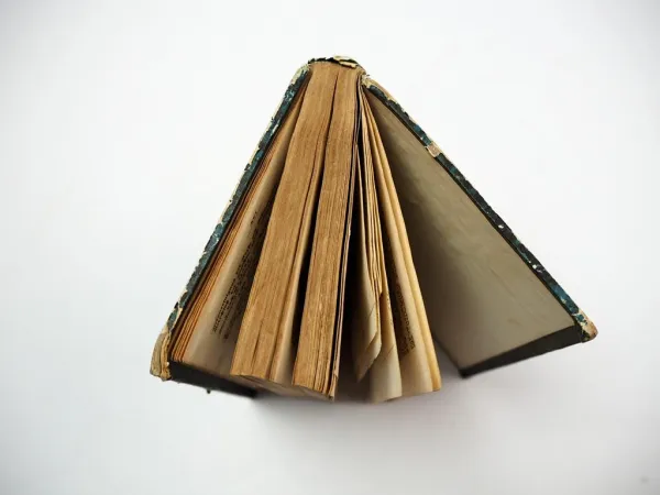 Die Kellerwirtschaft Heinrich Schmidt Weimar 1856 Wein Bier Cider Rum Arak