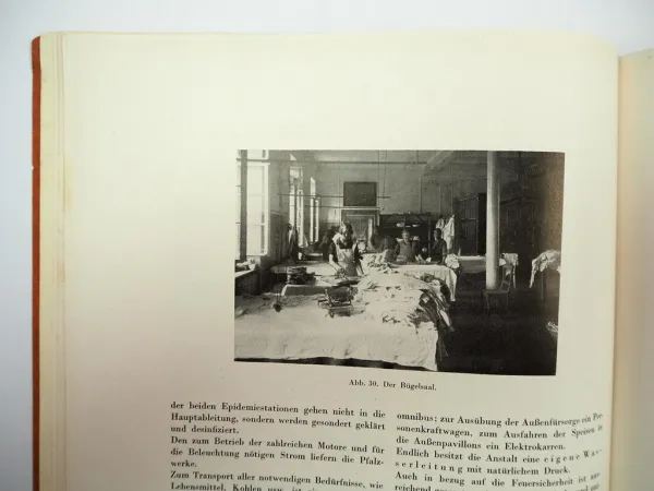 Die pfälzische Kreis Heil und Pflegeanstalt Klingenmünster Pfalz 1929