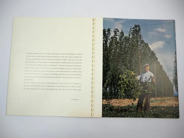 Festschrift Schwabenbräu Bier Brauerei Robert Leicht Firmengeschichte 1878-1953