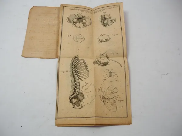 Fragment Hebammen Katechismus Entbindungskunst Alberti 1777 mit Kupferstichen