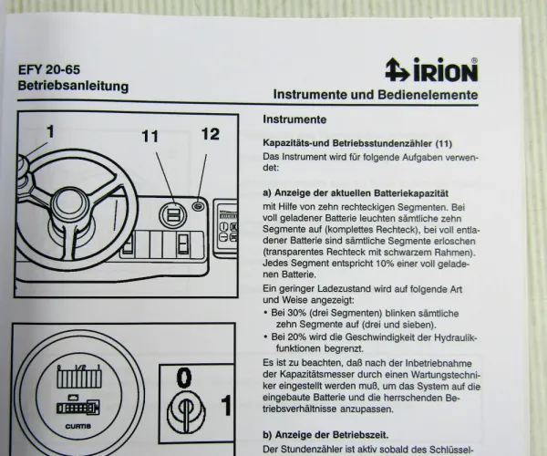 Irion EFY20-65 Seitenstapler Bedienung Betriebsanleitung + Schaltpläne ca 2003