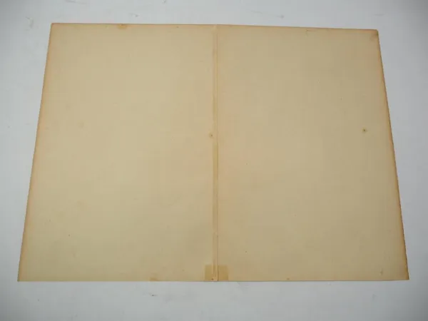 Kupferstich Festschießen zu Zwickau im August 1573 Ausgabe um 1880