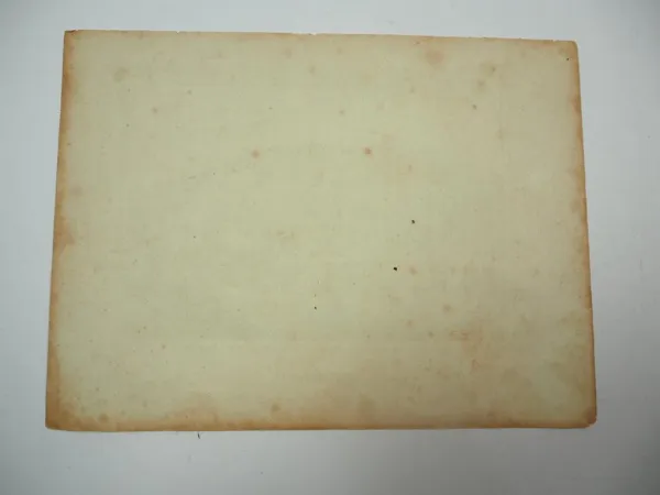 Lithographie Bad Ottenstein Schwarzenberg Sachsen ca. 1860 Breyer Görnert