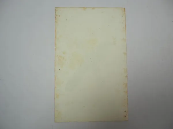 Lithographie Revue et Mag. de Zoologie 1858 Vogel Dryoscopus Bocourt Buquet