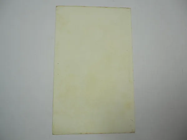 Lithographie Revue et Mag. de Zoologie 1858 Vogel Stoparola Malurus Bocourt