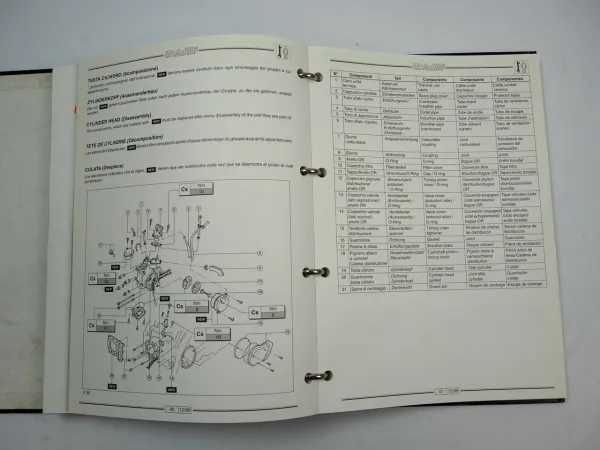 Malaguti Madison 250 Motorrad Werkstatthandbuch Manuale dofficina 1999/2000