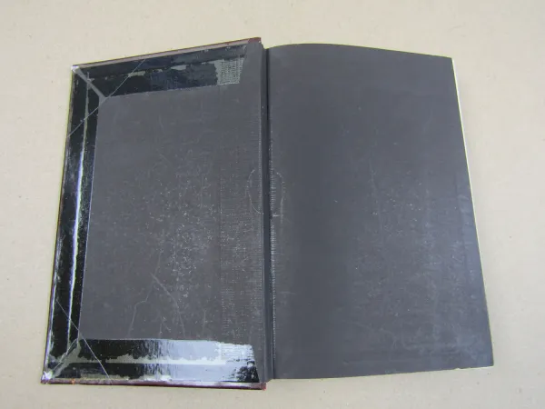 Memoir of Mother Mary Rose Columba Adams, O.P. 1895