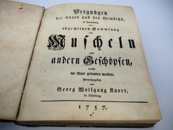Orig. Buch Georg Wolfgang Knorr 1757 - 69 Muscheln und andere Geschöpfe Nürnberg