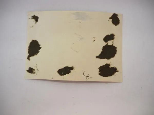 Original Foto Männer mit Milchkanne Aufschrift Plauen AG Molkerei ca. 1930