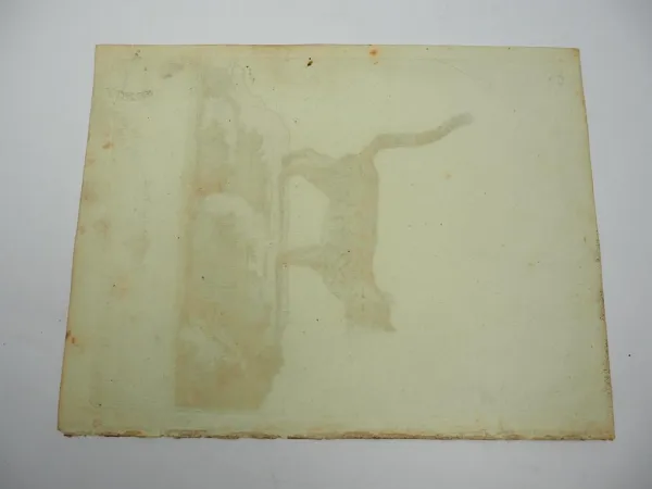 Original Kolorierter Kupferstich Tigerkatze Felis tigrina Briff. ca. 1850