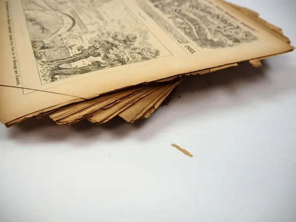 Original Münchener Humoristische Blätter Beilage Tageblatt von 1893 und 1903