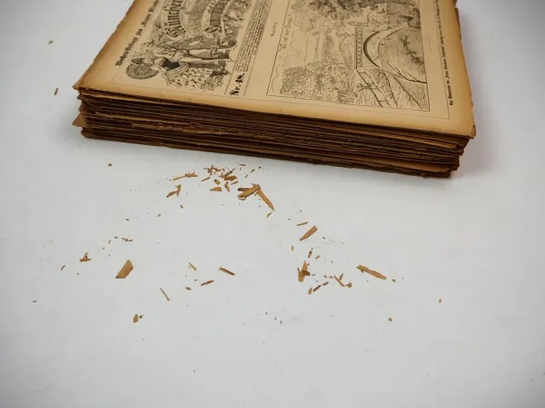 Original Münchener Humoristische Blätter Beilage Tageblatt von 1893 und 1903