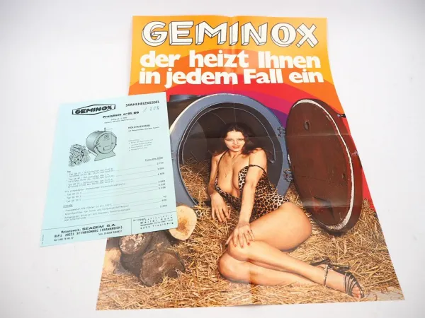 Original Prospekt Geminox Stahlheizkessel 1980 Frankreich