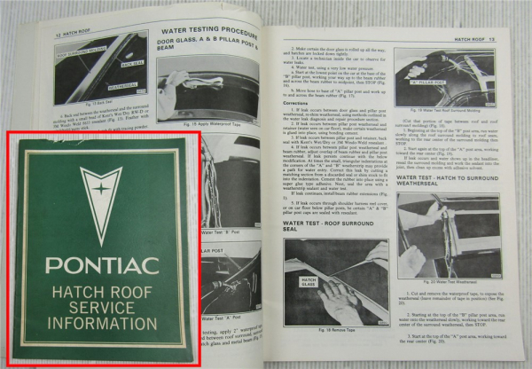 Pontiac Grand Prix Hatch Roof Service Information 1978 Glas Dach