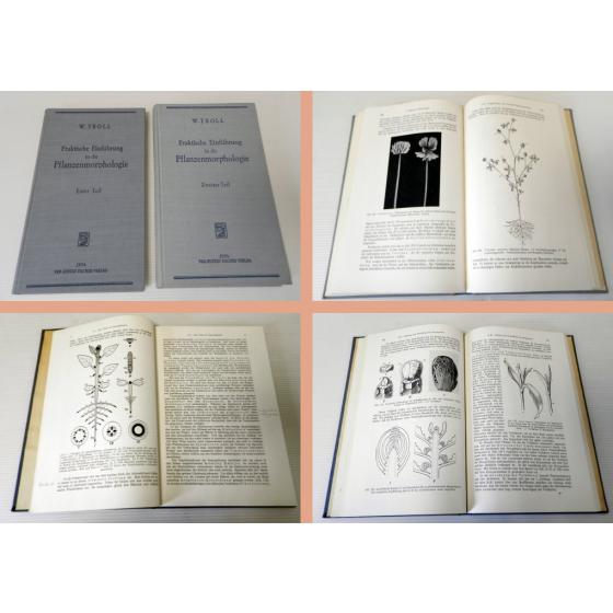praktische Einführung in die Pflanzenmorphologie 2 Bände W. Troll 1954/57