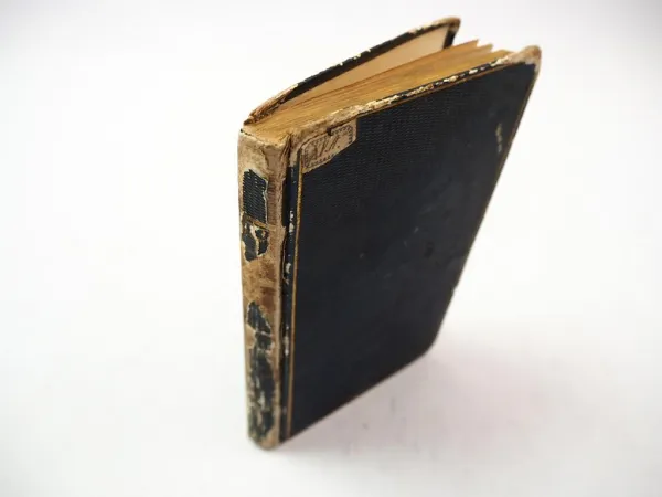 Reise und Kriegsabenteuer zu Wasser und zu Lande C. Blohm 1845 Schulze Olderburg