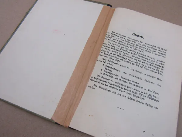 Rund um Halle Saale 1928 Wanderungen und Geländespiele