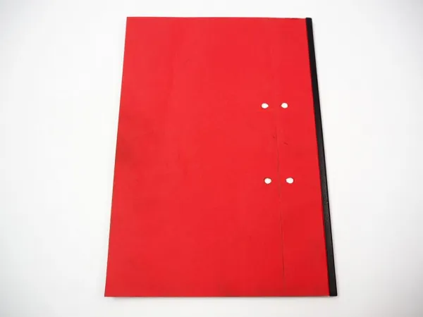 Schäffer Hoflader Radlader Teleskoplader Wartungspläne Füllmengen 2002