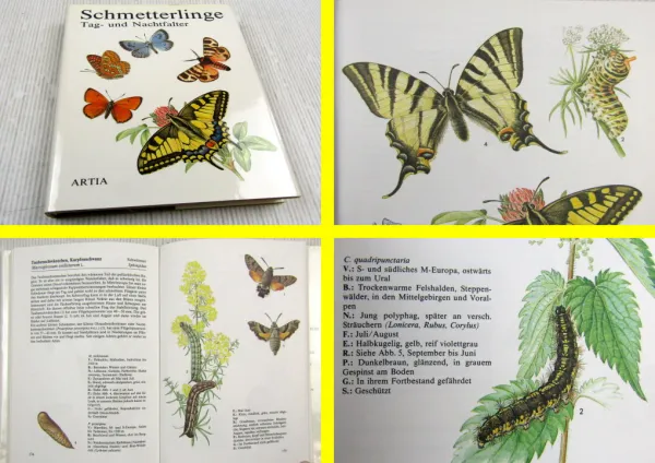 Schmetterlinge Tag- und Nachtfalter von Ivo Novak Artia Verlag 1986