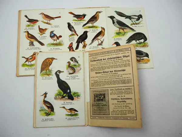 Schreibers Kleiner Atlas der einheimischen Vögel Heft 1 + 2 ca. 1910/20