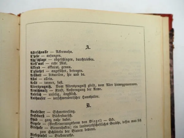 Schwäbische Dorf Predigten von C. B. Dreizler 1867 Stuttgart Mundart