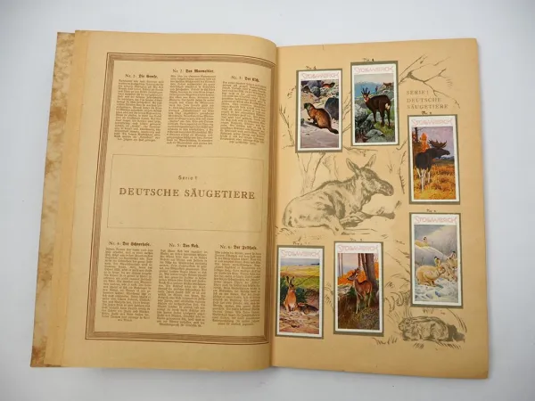 Stollwerk Sammelbilder Album Aus dem Tierreich 1932 vollständig