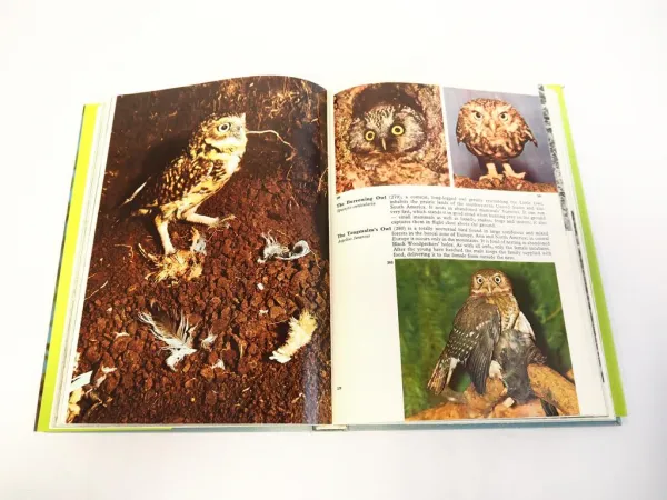 The Illustrated Encyclopedia of Birds, Jan Hanzak, Jiri Formanek, 1974