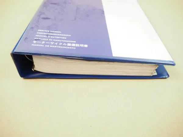 Triumph America + Speedmaster Werkstatthandbuch Reparaturanleitung 2010