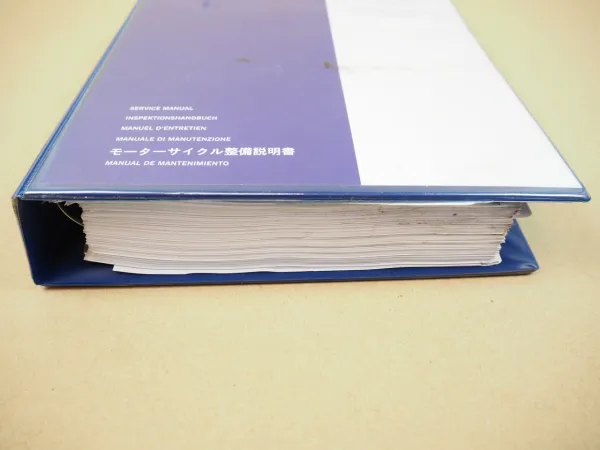 Triumph Daytona 675 R Street Triple R Werkstatthandbuch Reparaturanleitung 2012