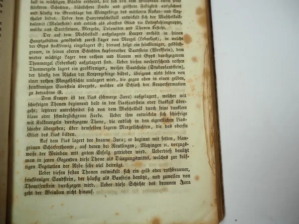 Weinbauschule Pflanzung der Reben und Gewinnung des Weins 1860 I. Dornfeld