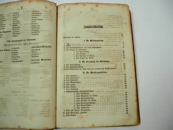 Weinbauschule Pflanzung der Reben und Gewinnung des Weins 1860 I. Dornfeld