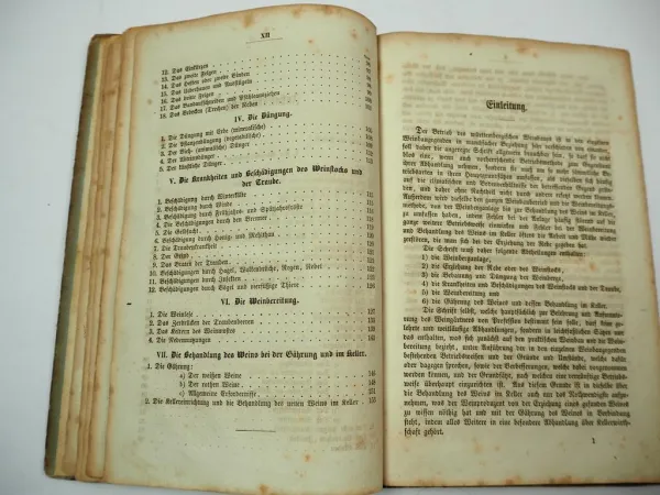 Weinbauschule Pflanzung der Reben und Gewinnung des Weins 1860 I. Dornfeld