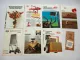 15x Original Prospekt Vicon Landtechnik 1970/80er Jahre