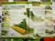 18x Original Prospekt Landtechnik 1970/80er Jahre Fendt Eberhardt Schmotzer