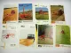 26x Original Prospekt PZ Zweegers Landtechnik Mäher Schwader Zetter 19/0/80er J.