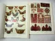 2x Ornamente der Volkskunst Keramik Holz Metall Gewebe Teppich Stickerei 1949/68