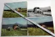 4 Foto MAN Dieselschlepper Traktor Speiser Häcksler ca 1960 Original
