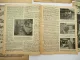 6x Zeitschrift Thema Tierschutz Tierfreund Tierwohl 1920er bis 1950er Jahre