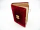 Antikes Foto Album ohne Bilder 16 x 21 cm roter Samteinband mit Metallverschluss